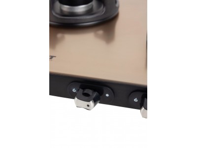 Blowhot Sapphire SS Gold 2 Burner Gas Stove 