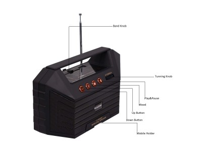 Castor Portable 9 Band FM Radio CT FM660BT