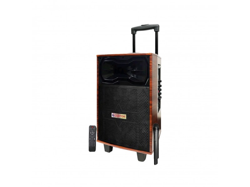 Castor Trolly Bluetooth Speaker 70W CT TS3600