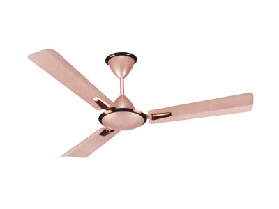 Eazyfans Aurora Anti Dust Rose Gold HS Ceiling Fan 