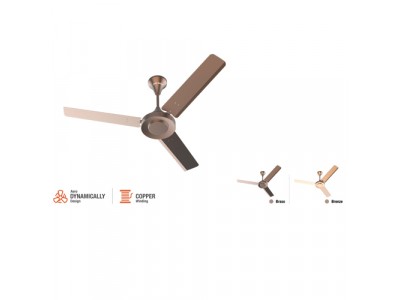 Infra Phoenix Platted Ceiling Fan HS 1200mm Brass