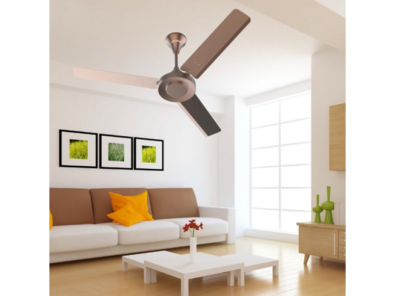 Infra Phoenix Platted Ceiling Fan HS 1200mm Bronze