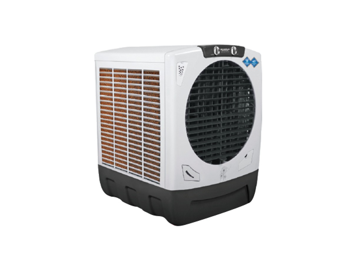 maharaja whiteline cooler bravo