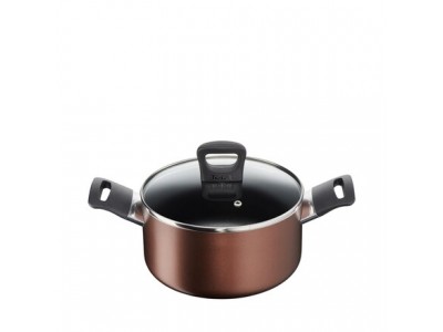 Tefal Super Cook Plus Stewpot/Biryani Pot 20 cm with Glass Lid